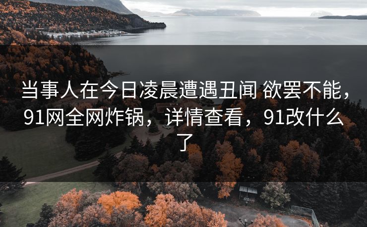 当事人在今日凌晨遭遇丑闻 欲罢不能，91网全网炸锅，详情查看，91改什么了