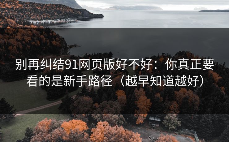 别再纠结91网页版好不好：你真正要看的是新手路径（越早知道越好）
