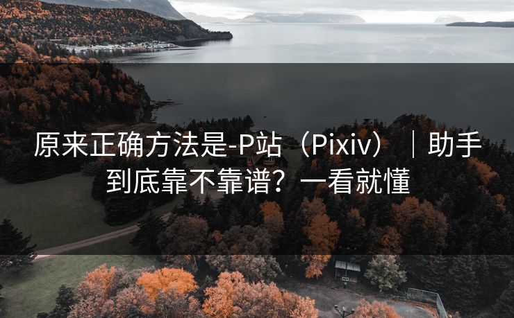 原来正确方法是-P站(Pixiv)|助手到底靠不靠谱?一看就懂