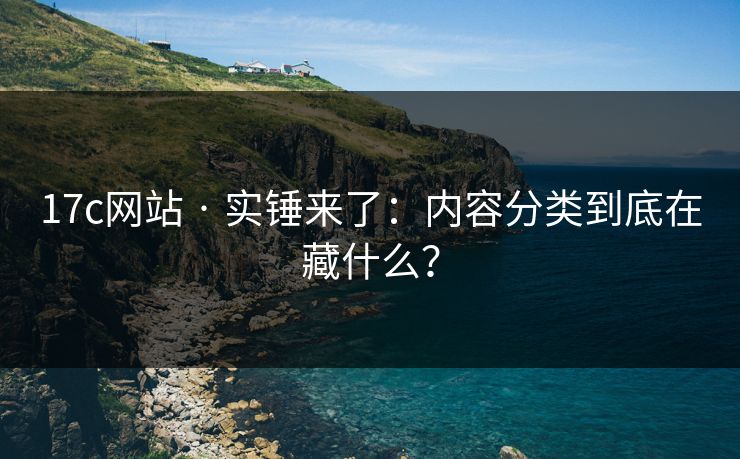 17c网站 · 实锤来了：内容分类到底在藏什么？